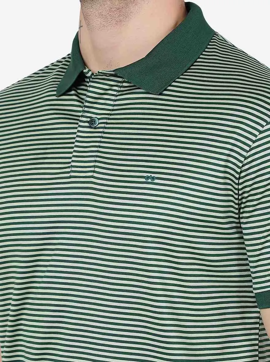 Light Green Striped Slim Fit Polo T-Shirt | JadeBlue