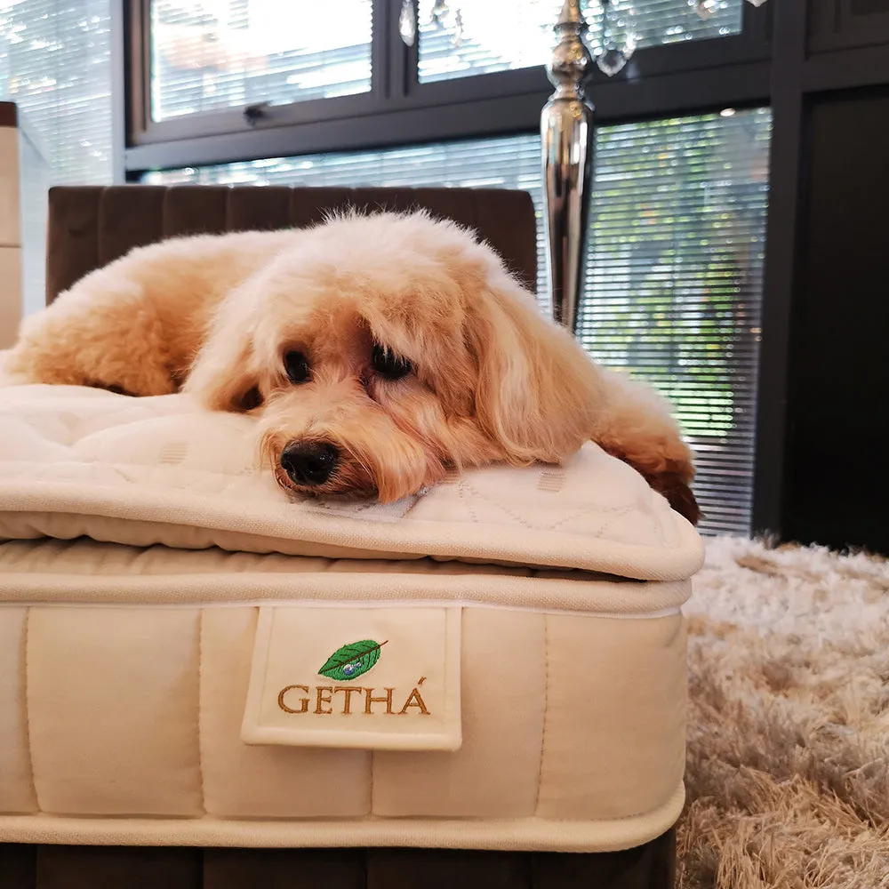 Pet Bed Frame Set