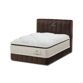 Pet Bed Frame Set