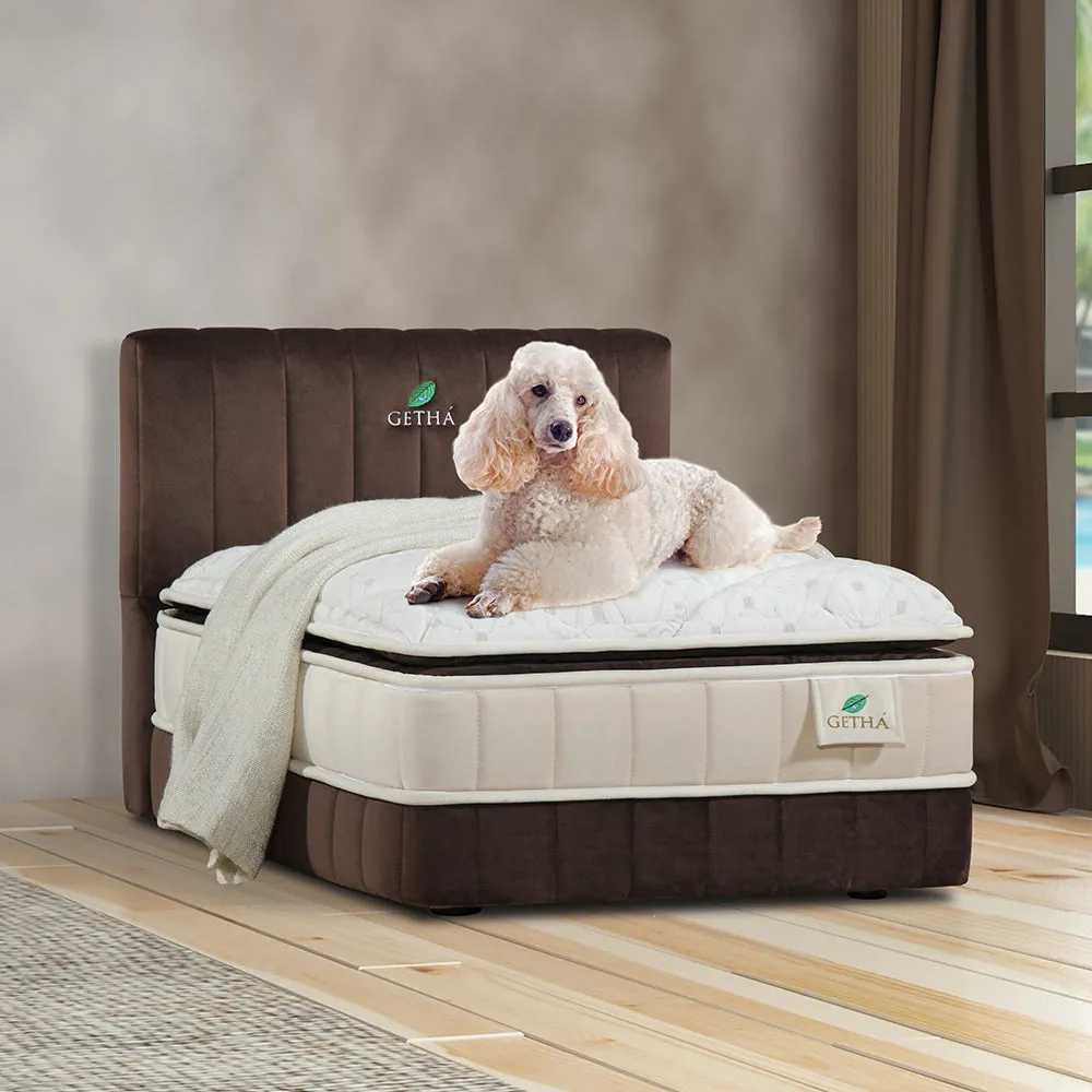 Pet Bed Frame Set