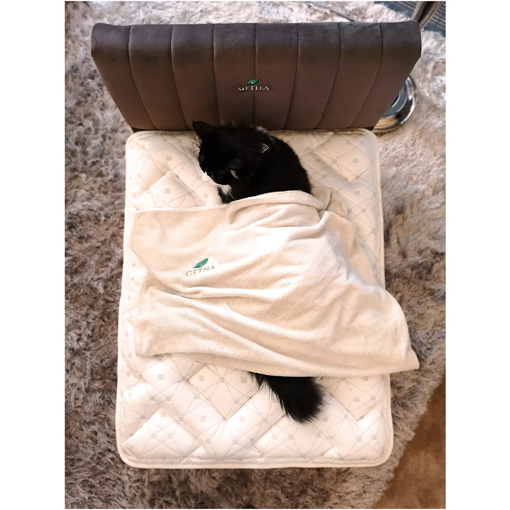 Pet Bed Frame Set